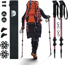 Guía de precios y mejores lugares para comprar bastones de trekking para niños