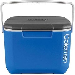Precios de neveras portátiles para camping y dónde comprarlas