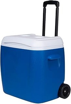 Beneficios de usar una nevera portátil con ruedas en tus actividades al aire libre