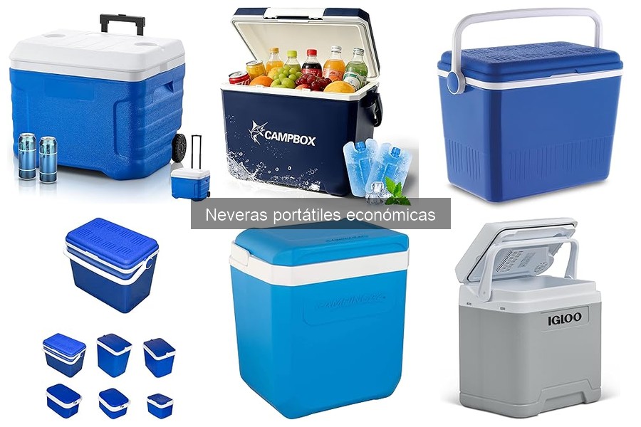 Alternativas a las neveras portátiles económicas para acampar