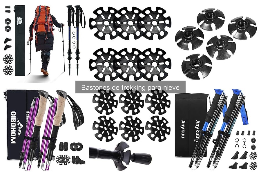 Alternativas a los Bastones de Trekking para Nieve