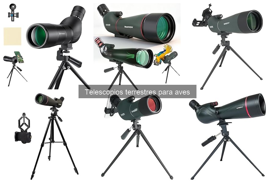 Alternativas a telescopios terrestres para aves: opciones eficaces