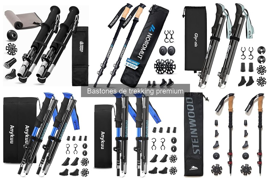 Beneficios de Usar Bastones de Trekking Premium en Aventura