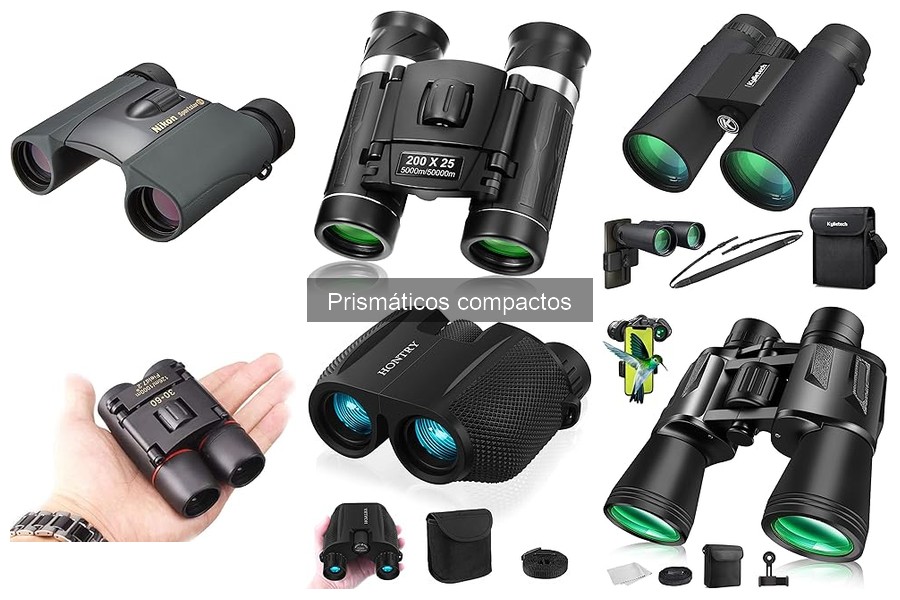 Cómo elegir los mejores prismáticos compactos para aves