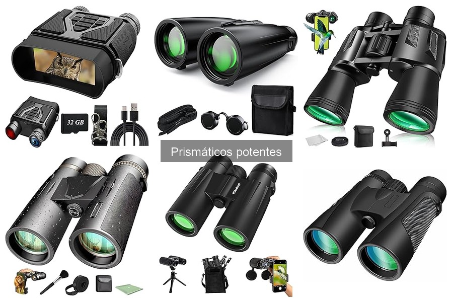 Cómo elegir prismáticos potentes: guía completa