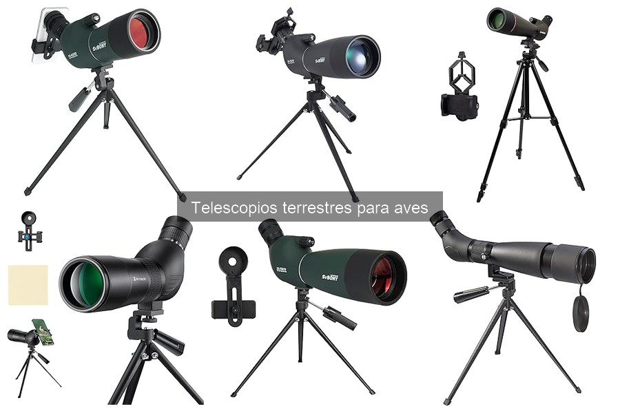 Cómo elegir un telescopio terrestre para observar aves