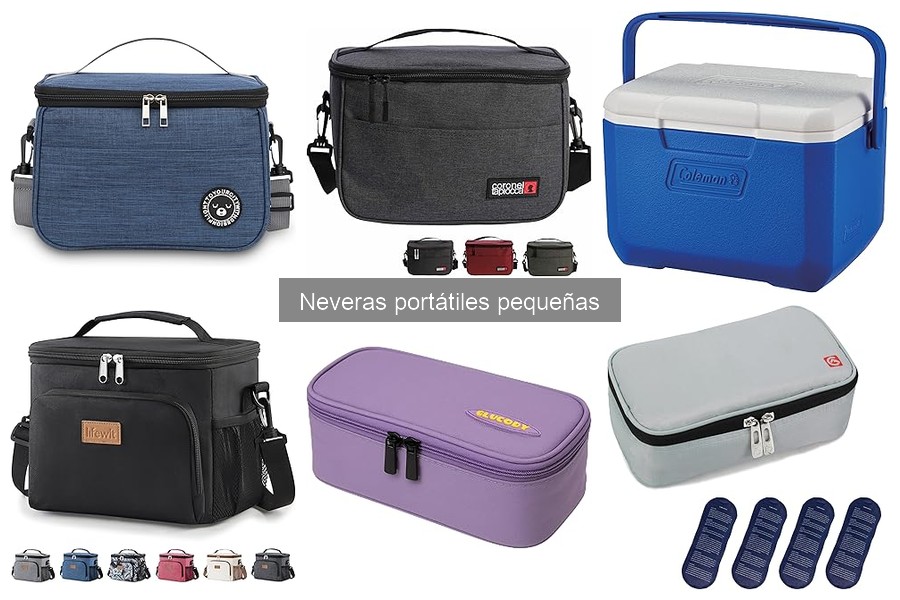 Cómo Mantener y Limpiar una Nevera Portátil Pequeña