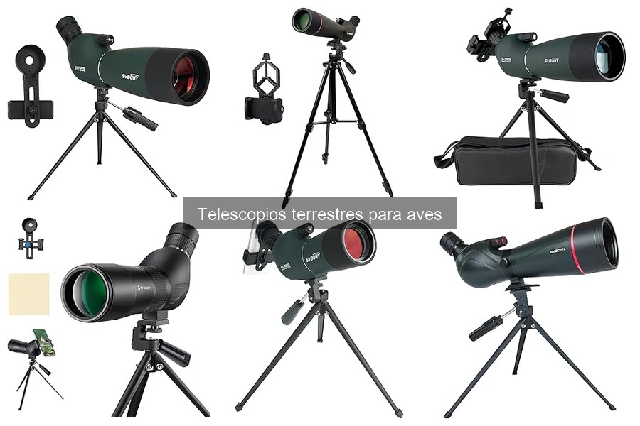 Cómo utilizar un telescopio terrestre para observar aves