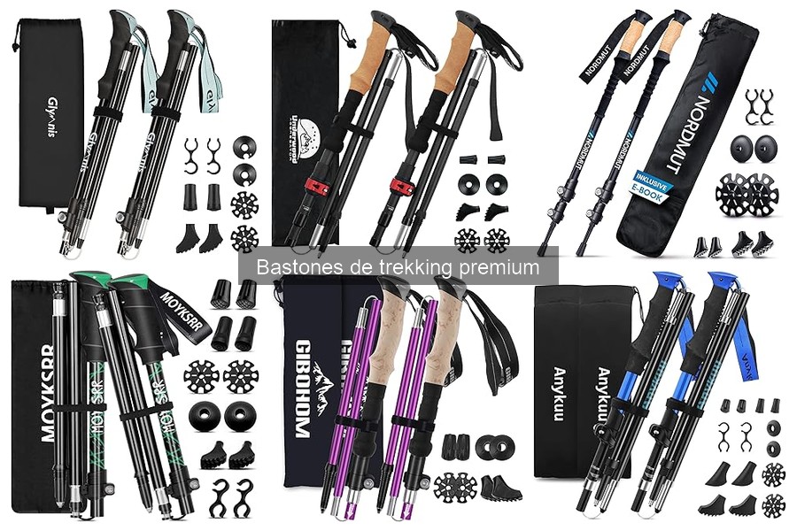 Comparativa: Bastones de Trekking Premium vs Estándar