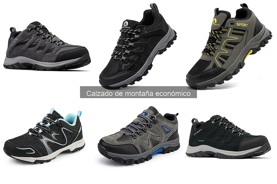 Comparativa: Calzado de montaña económico vs. alta gama