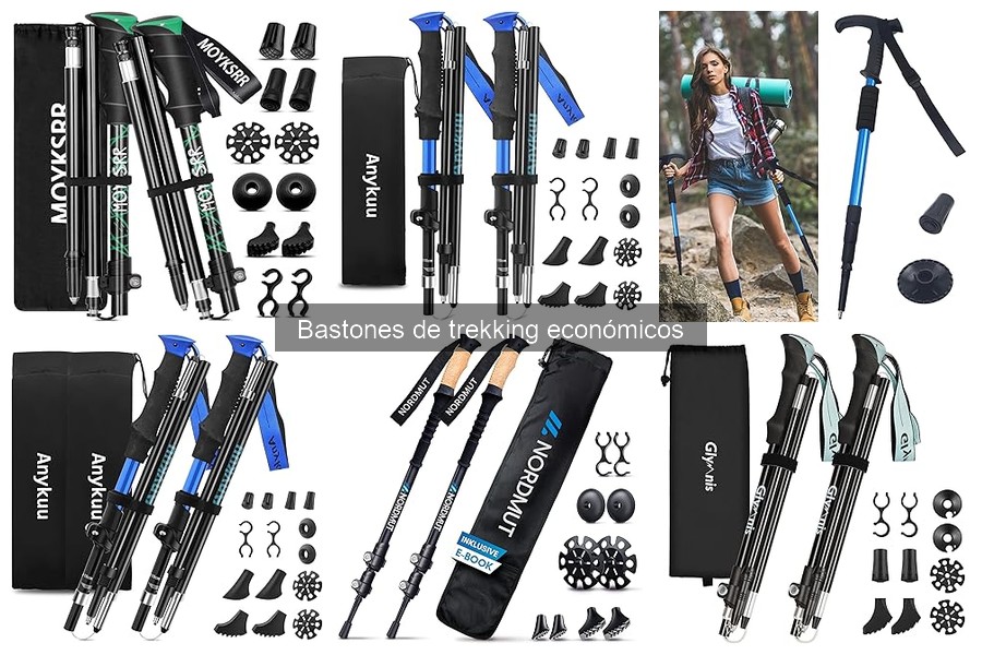 Comparativa de Bastones de Trekking: Económicos vs. Gama Alta