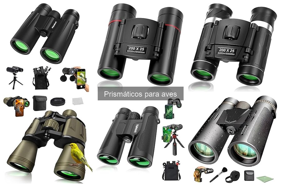 Comparativa de Prismáticos para Aves: Gama Baja vs Alta