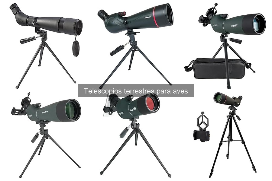 Comparativa de Telescopios Terrestres para Aves 2023
