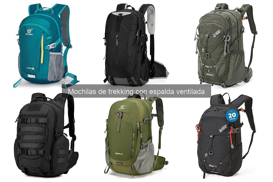 Comparativa: Mochilas de trekking con y sin espalda ventilada