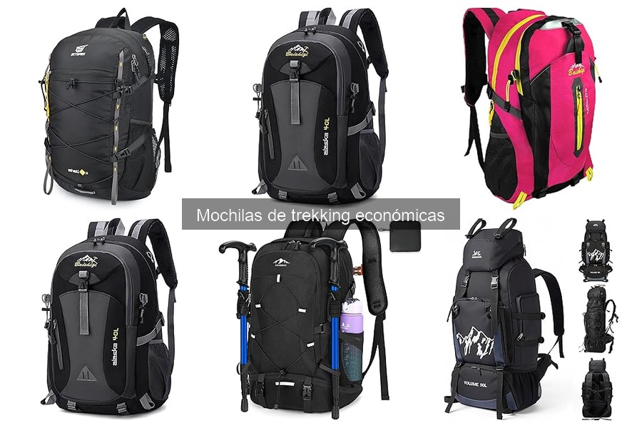 Comparativa: Mochilas de Trekking Económicas vs. Gama Alta