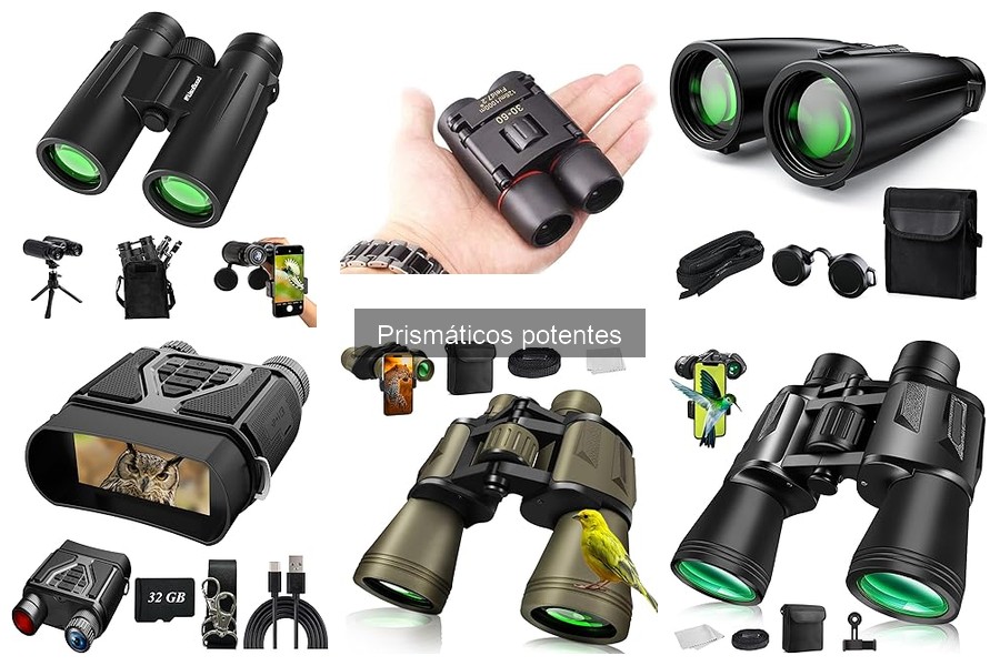 Comparativa: Prismáticos Potentes vs. Compactos