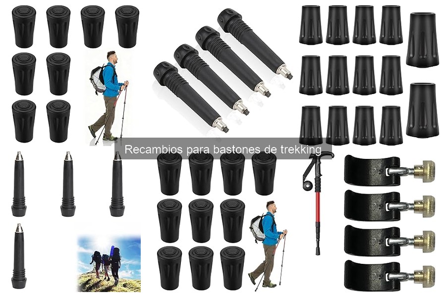 ¿Cuánto cuesta un recambio para bastones de trekking?