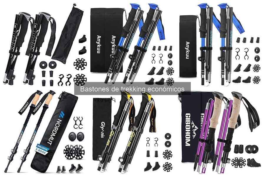 Dónde comprar bastones de trekking económicos y ofertas