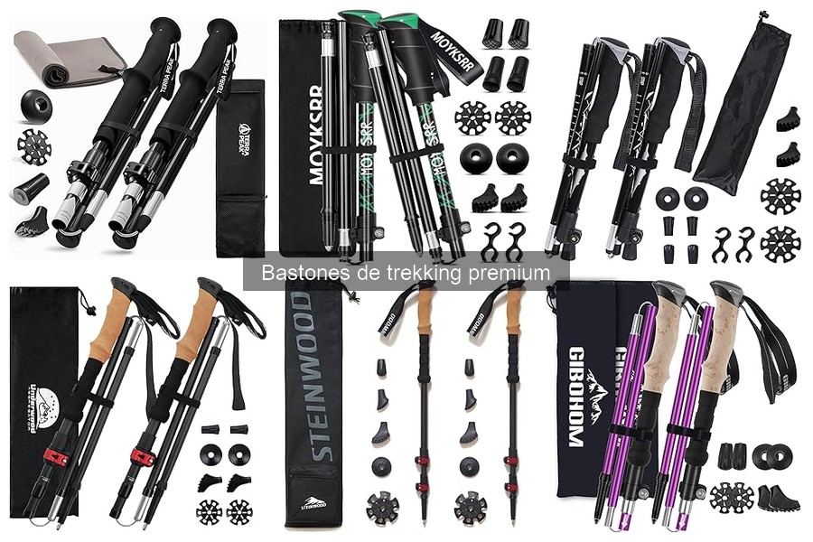 Dónde comprar bastones de trekking premium: mejores tiendas