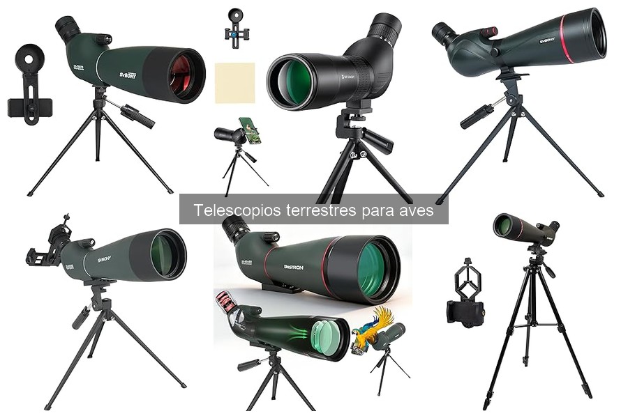 Errores comunes al usar telescopios terrestres para aves