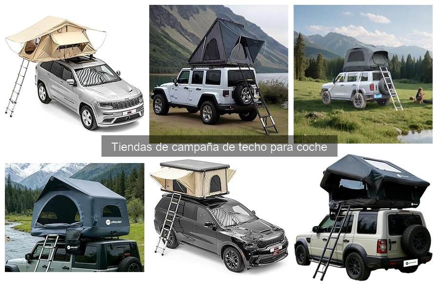 Experiencias de Usuarios con Tiendas de Techo para Coche