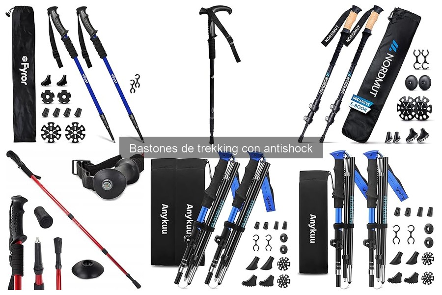 Guía de compra: Bastones de trekking con antishock