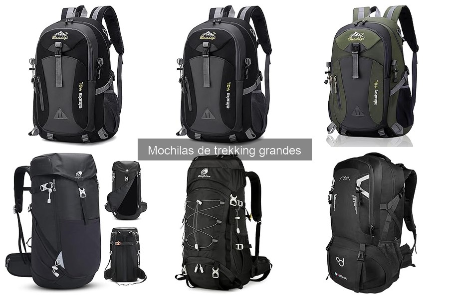 Guía de compra de mochilas de trekking grandes