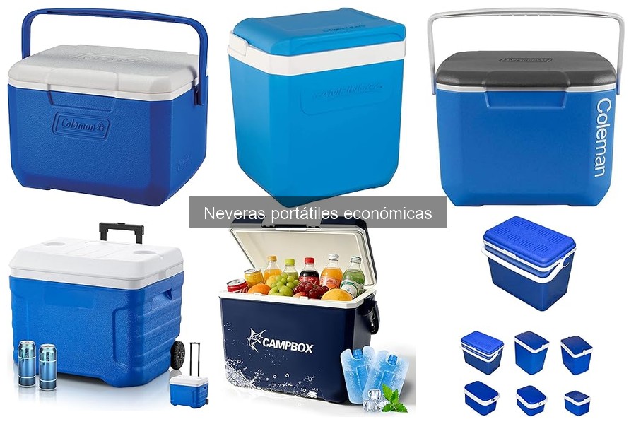 Guía de Compra de Neveras Portátiles Económicas