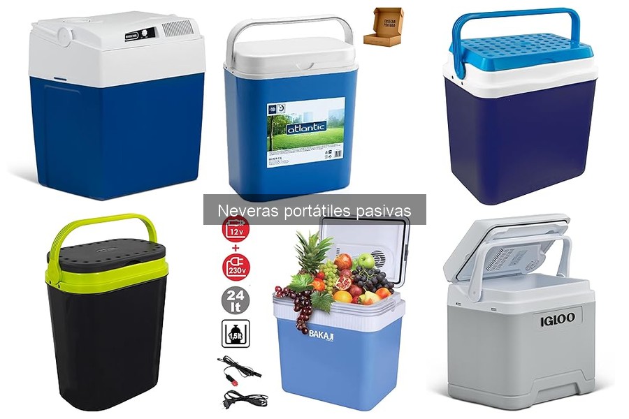Guía de compra de neveras portátiles pasivas para el exterior