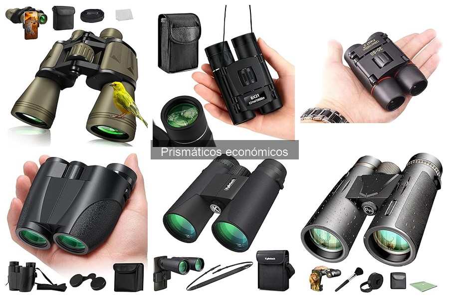 Guía de compra de prismáticos económicos para outdoor