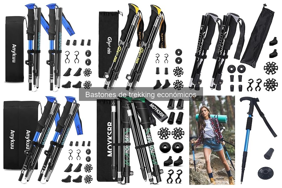 Guía para elegir bastones de trekking económicos