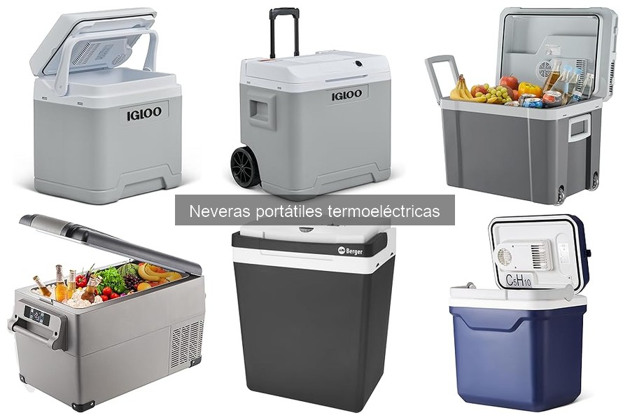 Guía para usar correctamente una nevera portátil termoeléctrica