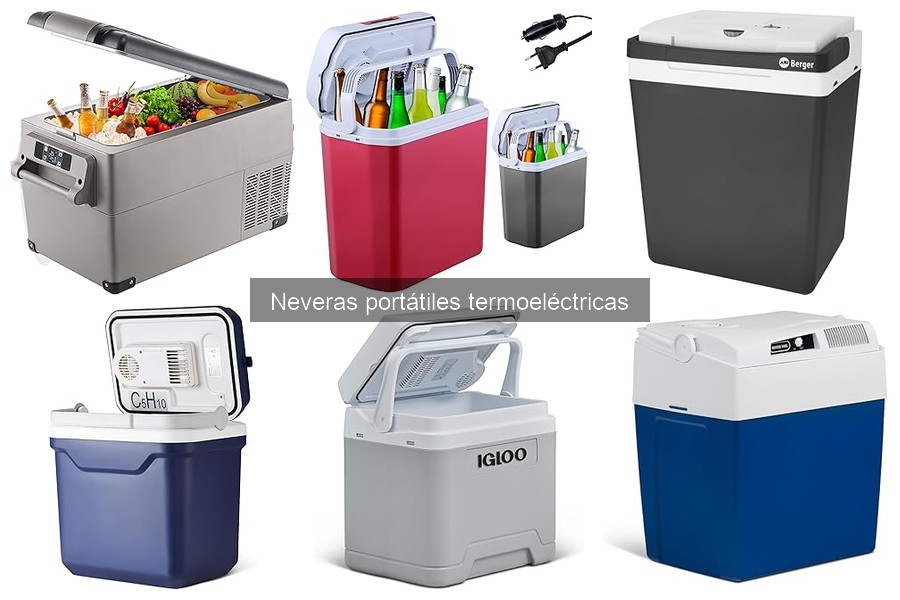 Mantenimiento de neveras portátiles termoeléctricas: Guía práctica