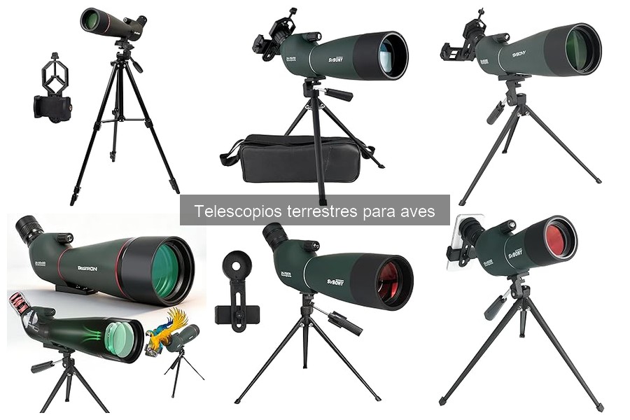 Mantenimiento y Cuidado de Telescopios Terrestres para Aves