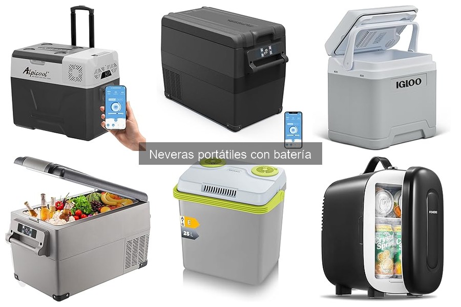 ** Mejor tamaño de nevera portátil con batería para cada necesidad
