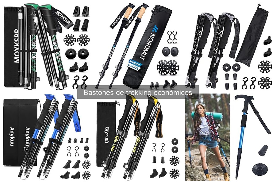 Mejores bastones de trekking económicos: comparativa 2023