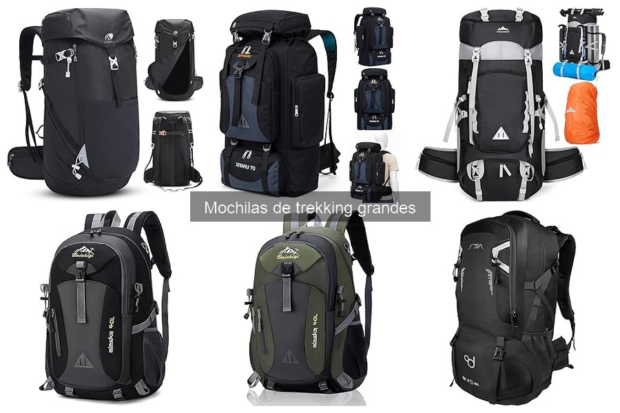 Mejores marcas de mochilas de trekking grandes para aventura