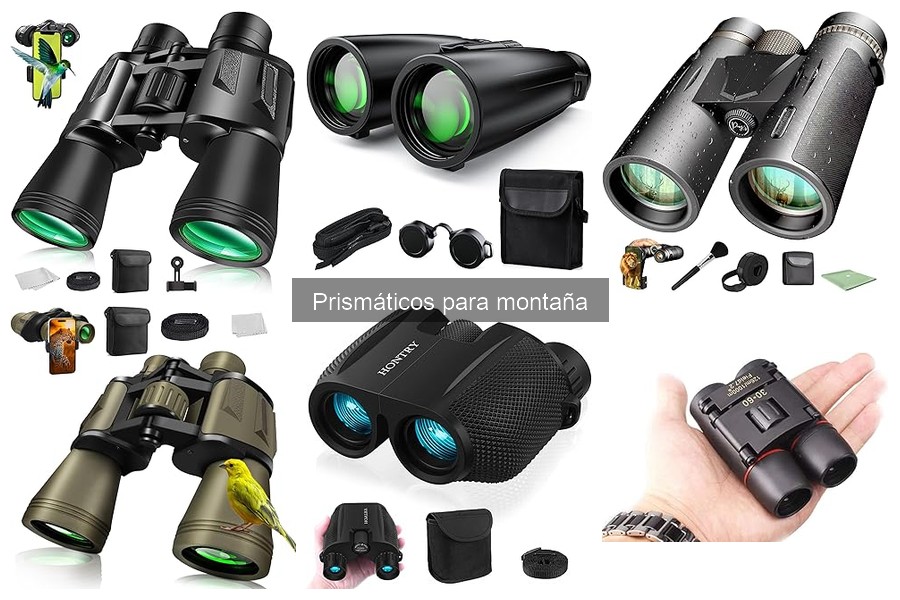 Mejores prismáticos para observación de aves en montaña