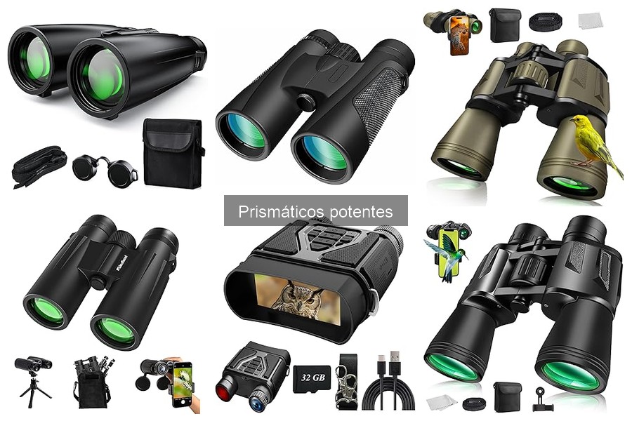 Mejores prismáticos potentes para observar aves en 2023