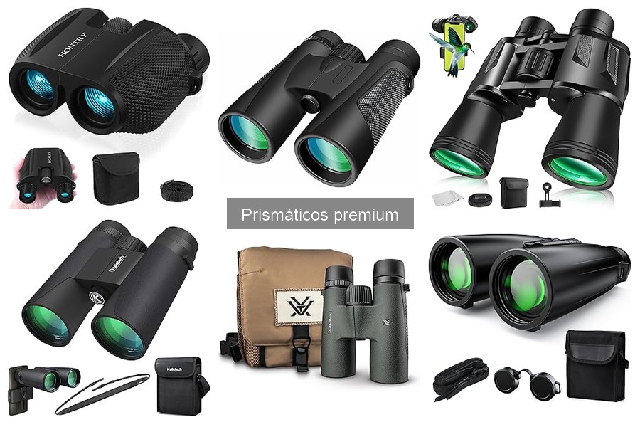 Mejores prismáticos premium para la observación de aves