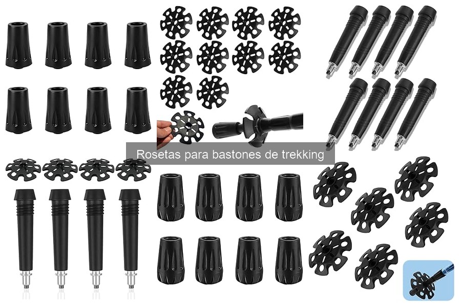 Mejores rosetas para bastones de trekking en nieve