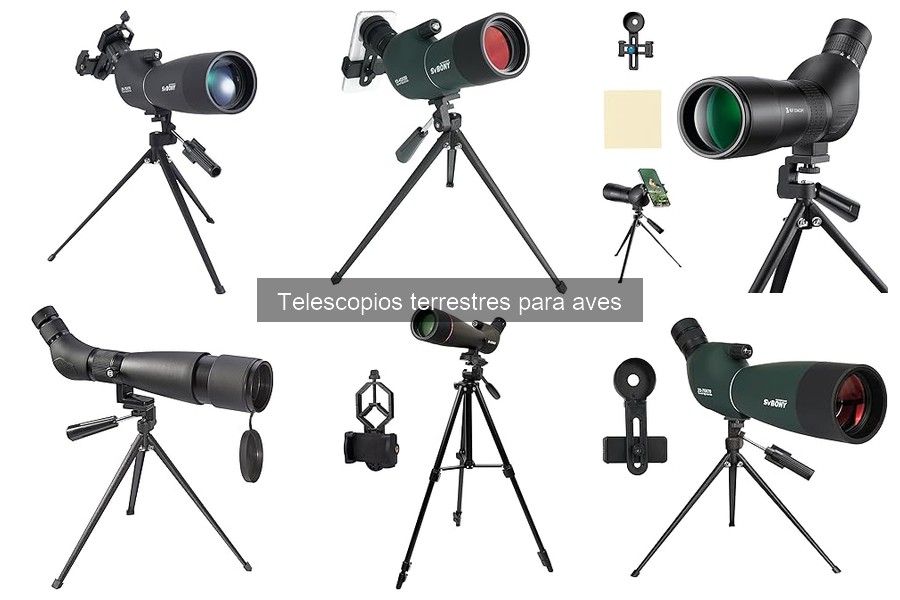 Mejores telescopios terrestres para principiantes en 2023