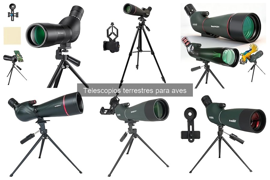 Mejores tiendas en línea para telescopios terrestres de aves