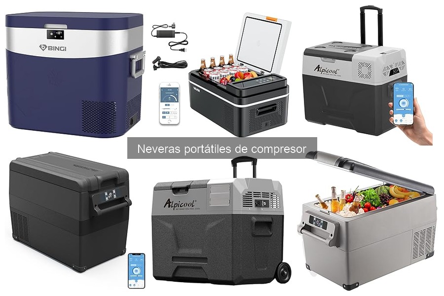 Mejores ubicaciones para nevera portátil de compresor en coche