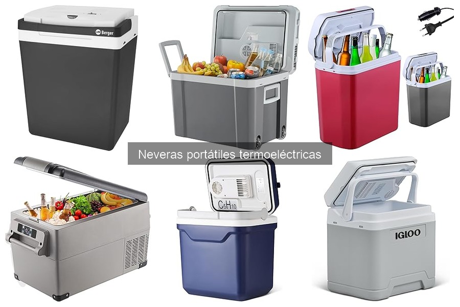 Precios de neveras portátiles termoeléctricas en Amazon