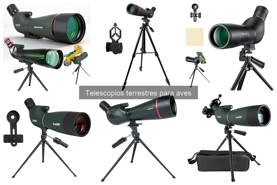 Precios de Telescopios Terrestres para Observación de Aves