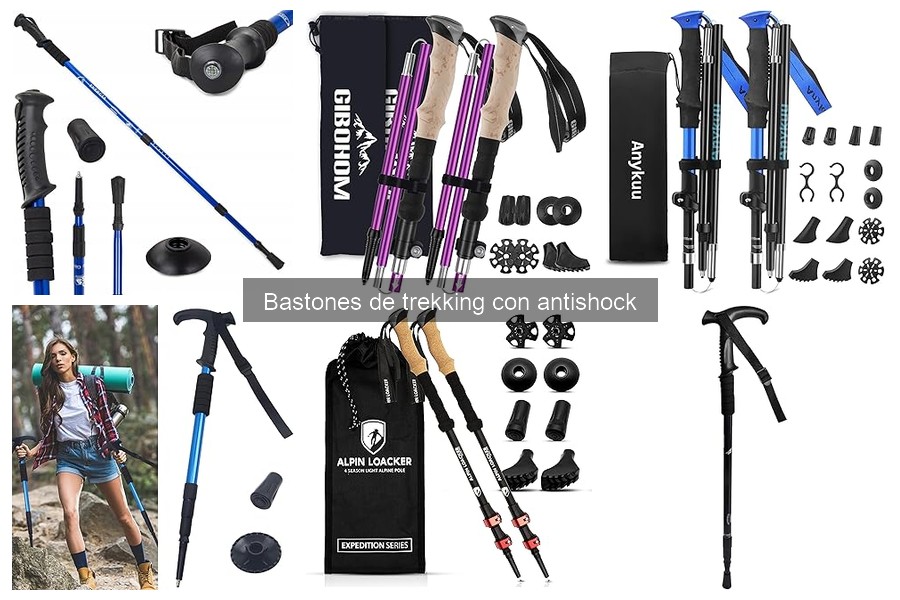 Precios y Dónde Comprar Bastones de Trekking con Antishock
