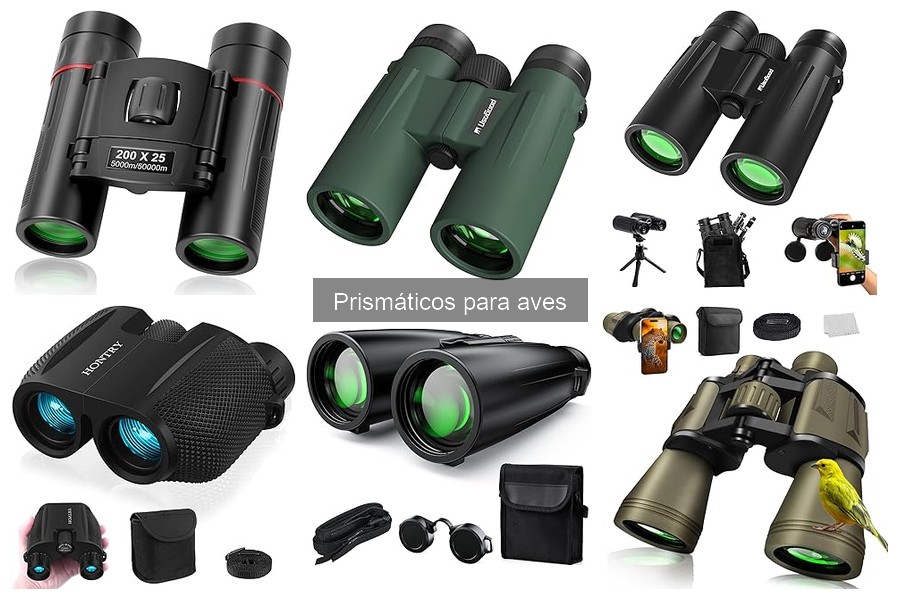 Prisma o lente: ¿qué prismático es mejor para observar aves?
