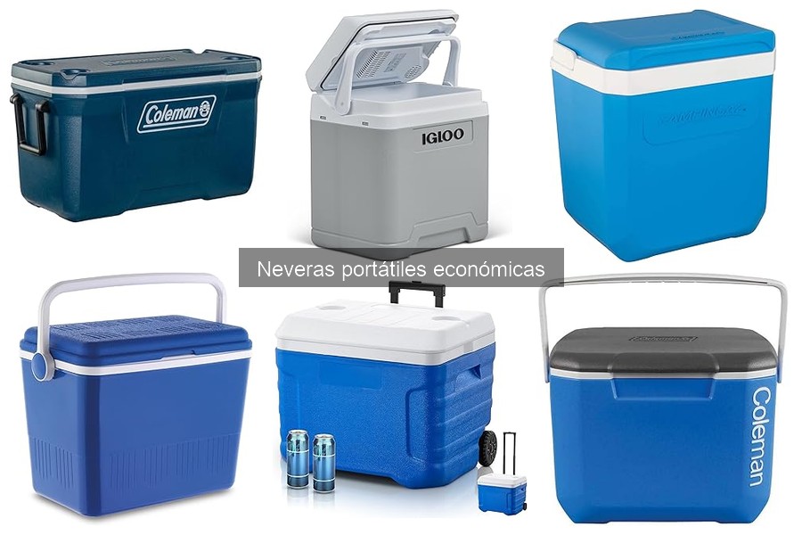 Problemas comunes de neveras portátiles económicas y soluciones