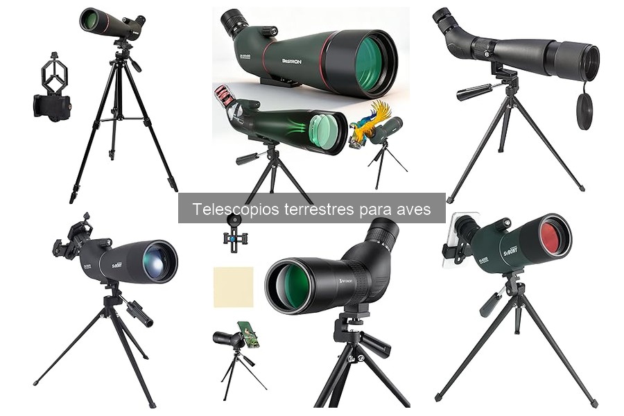 ¿Qué es un telescopio terrestre y cómo funciona?